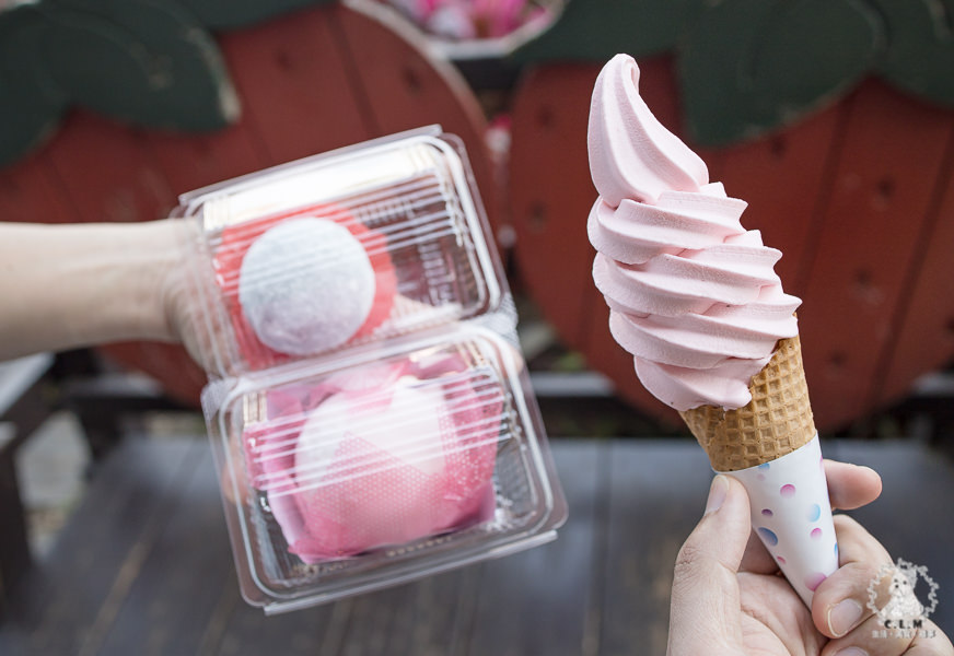 [食記] 苗栗大湖 草莓屋(大湖酒莊草莓甜點霜淇淋