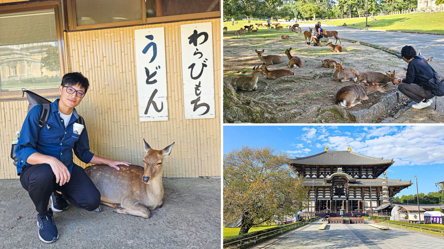 2023 Nara deer F