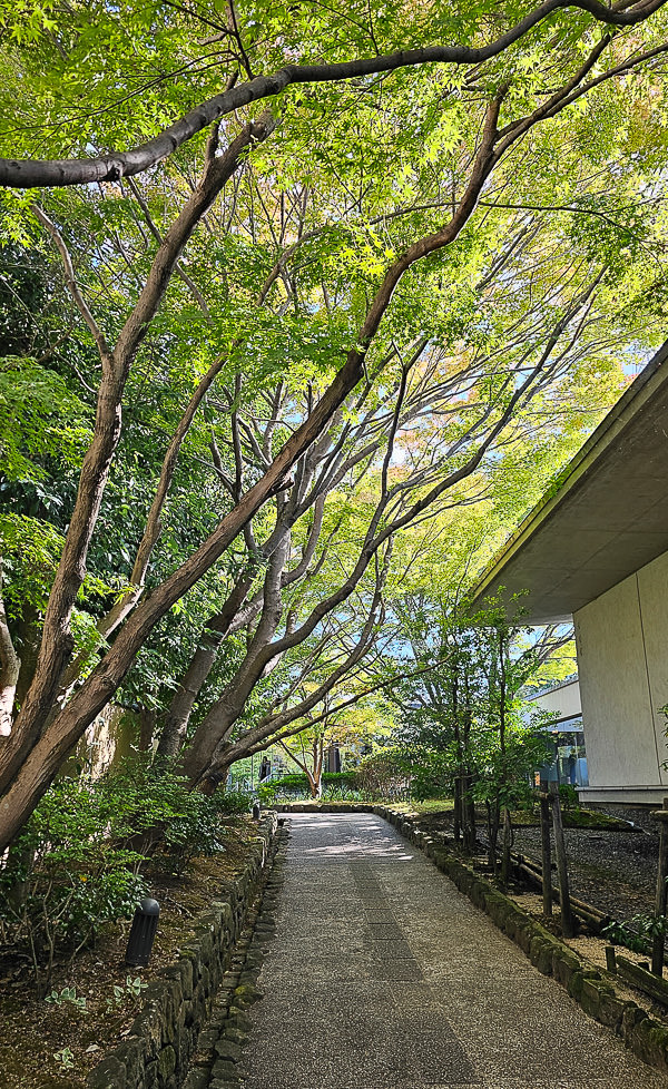 平等院、宇治上神社、宇治神社、源氏物語博物館、星巴克平等院表參道店及宇治站週邊一日遊|日本京都宇治景點遊記 - 第9張圖