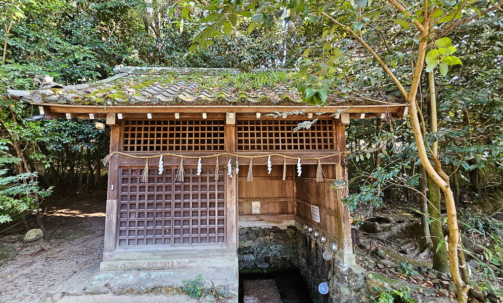 平等院、宇治上神社、宇治神社、源氏物語博物館、星巴克平等院表參道店及宇治站週邊一日遊|日本京都宇治景點遊記 - 第29張圖