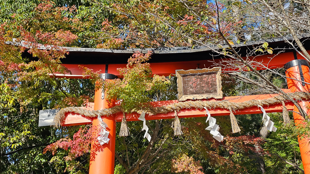 平等院、宇治上神社、宇治神社、源氏物語博物館、星巴克平等院表參道店及宇治站週邊一日遊|日本京都宇治景點遊記 - 第37張圖