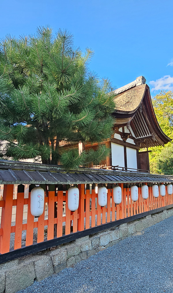 平等院、宇治上神社、宇治神社、源氏物語博物館、星巴克平等院表參道店及宇治站週邊一日遊|日本京都宇治景點遊記 - 第53張圖