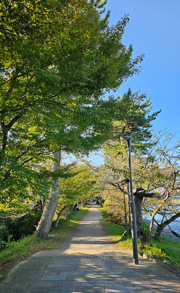 平等院、宇治上神社、宇治神社、源氏物語博物館、星巴克平等院表參道店及宇治站週邊一日遊|日本京都宇治景點遊記 - 第75張圖