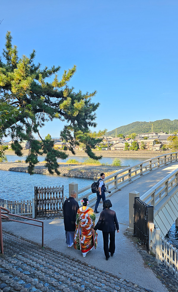 平等院、宇治上神社、宇治神社、源氏物語博物館、星巴克平等院表參道店及宇治站週邊一日遊|日本京都宇治景點遊記 - 第76張圖