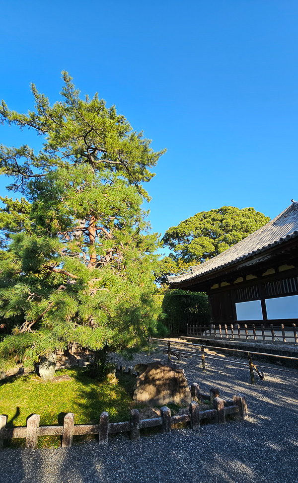 平等院、宇治上神社、宇治神社、源氏物語博物館、星巴克平等院表參道店及宇治站週邊一日遊|日本京都宇治景點遊記 - 第89張圖
