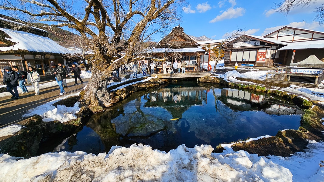 【日本山梨】忍野八海|富士山融雪湧泉池景,觀光客知名景點推薦 - 第14張圖
