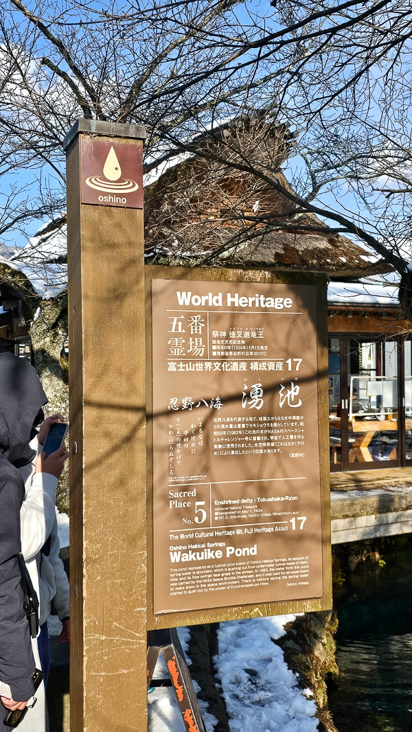 【日本山梨】忍野八海|富士山融雪湧泉池景,觀光客知名景點推薦 - 第12張圖