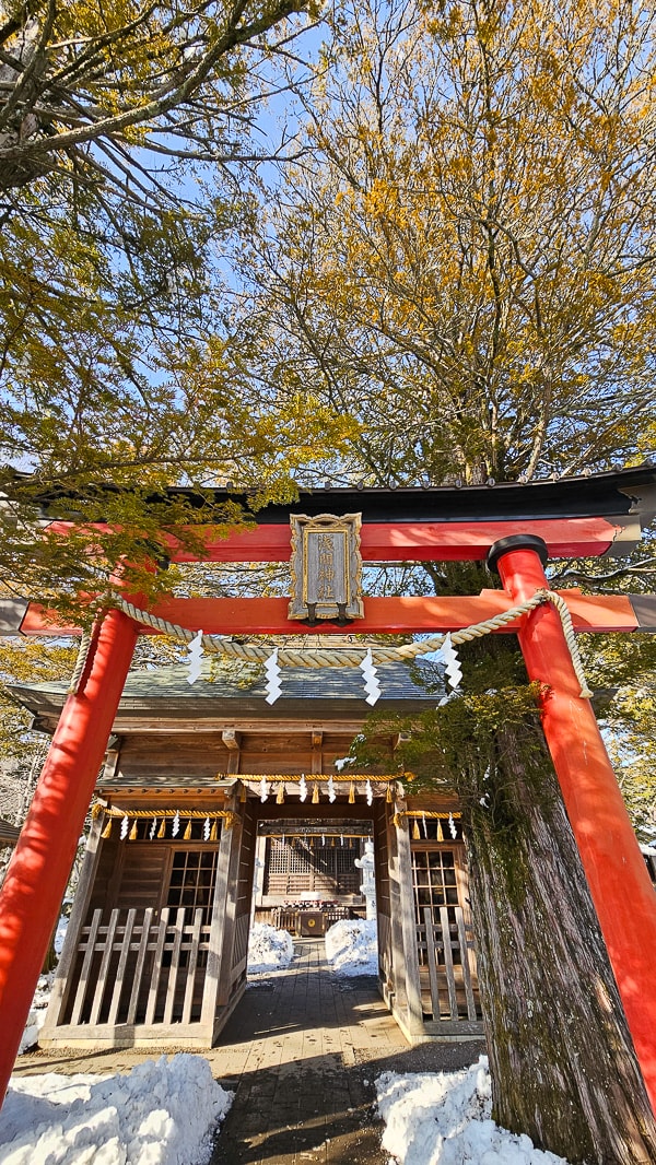 【日本山梨】忍野八海|富士山融雪湧泉池景,觀光客知名景點推薦 - 第37張圖