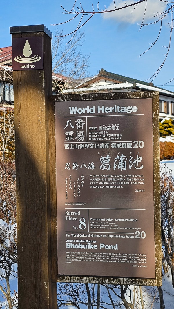【日本山梨】忍野八海|富士山融雪湧泉池景,觀光客知名景點推薦 - 第41張圖