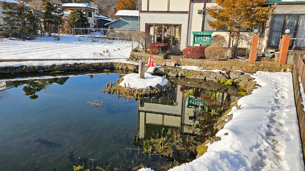 【日本山梨】忍野八海|富士山融雪湧泉池景,觀光客知名景點推薦 - 第44張圖