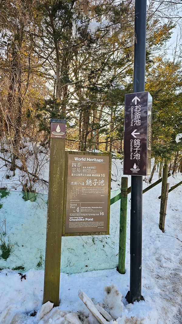 【日本山梨】忍野八海|富士山融雪湧泉池景,觀光客知名景點推薦 - 第45張圖