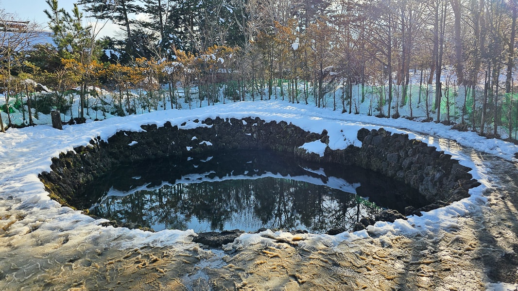 【日本山梨】忍野八海|富士山融雪湧泉池景,觀光客知名景點推薦 - 第47張圖