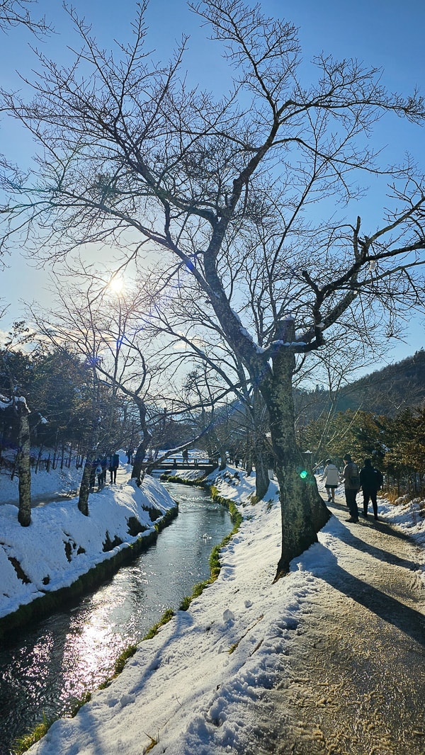 【日本山梨】忍野八海|富士山融雪湧泉池景,觀光客知名景點推薦 - 第53張圖