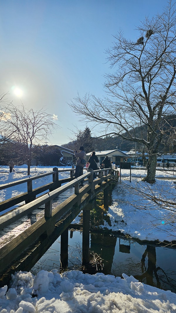 【日本山梨】忍野八海|富士山融雪湧泉池景,觀光客知名景點推薦 - 第55張圖