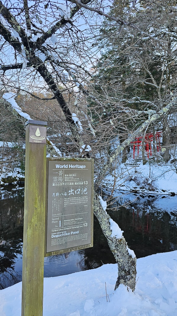 【日本山梨】忍野八海|富士山融雪湧泉池景,觀光客知名景點推薦 - 第58張圖