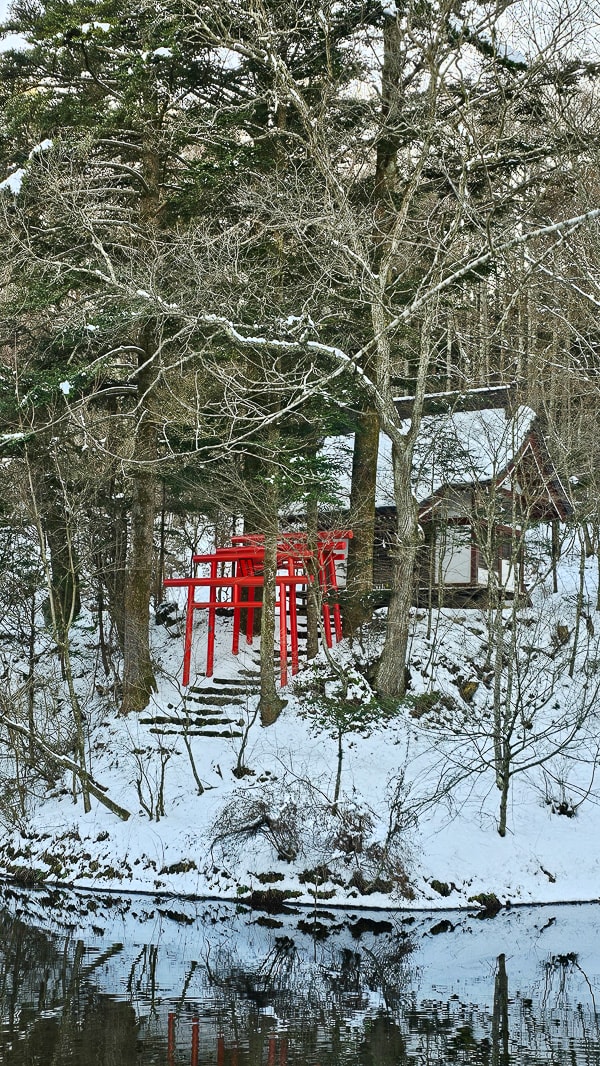 【日本山梨】忍野八海|富士山融雪湧泉池景,觀光客知名景點推薦 - 第60張圖