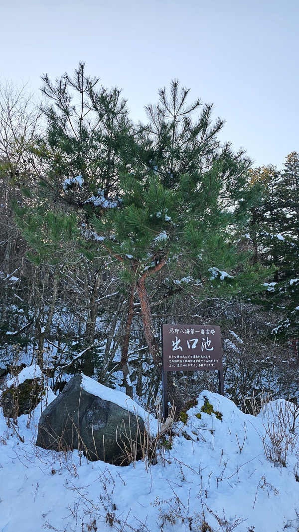 【日本山梨】忍野八海|富士山融雪湧泉池景,觀光客知名景點推薦 - 第64張圖