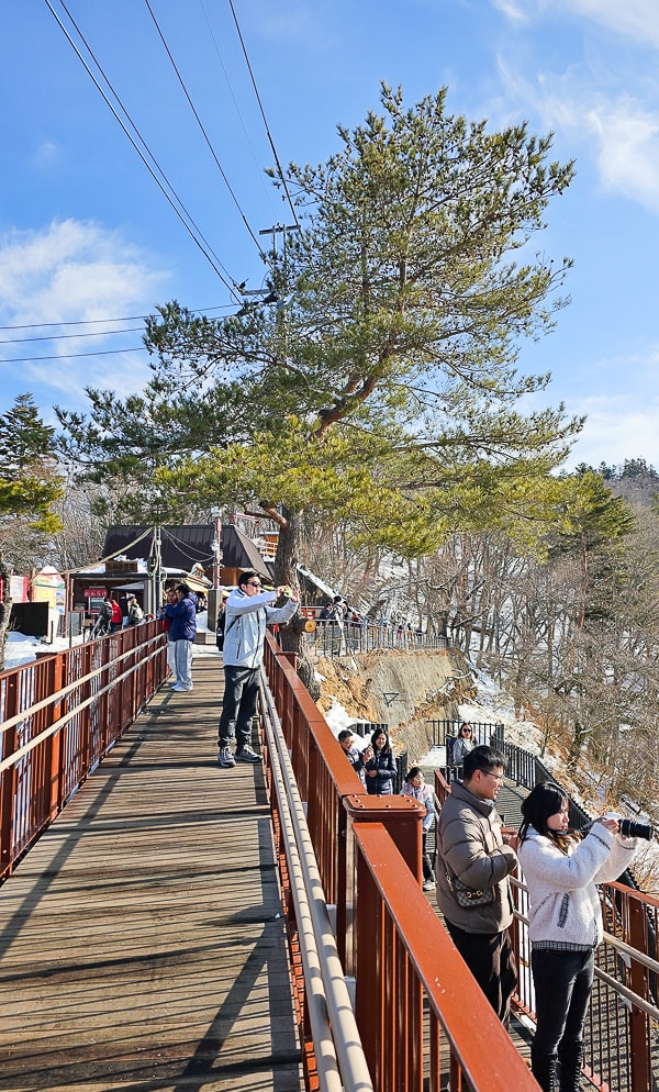 【日本山梨】河口湖 富士山纜車|觀光客必去推薦天上山公園,景色超美還有網美盪鞦韆拍美照 - 第15張圖