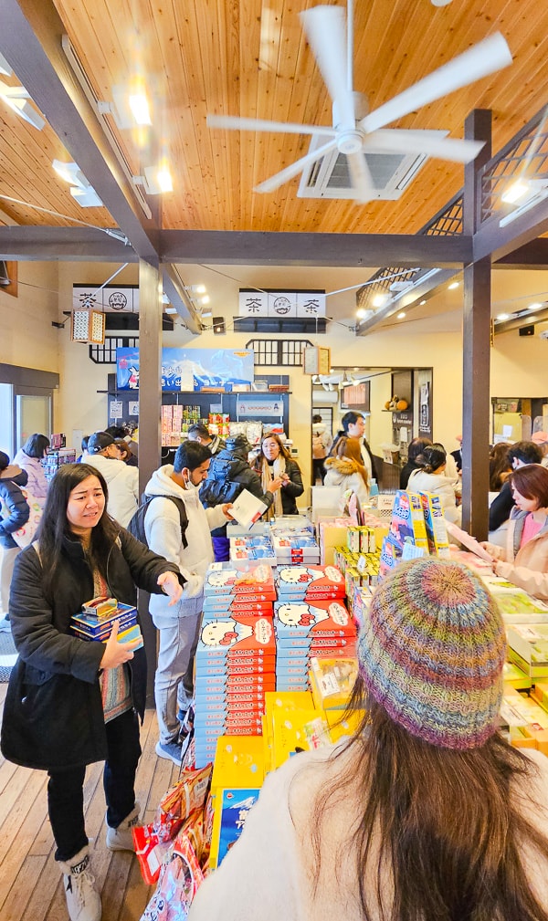 【日本山梨】河口湖 富士山纜車|觀光客必去推薦天上山公園,景色超美還有網美盪鞦韆拍美照 - 第39張圖