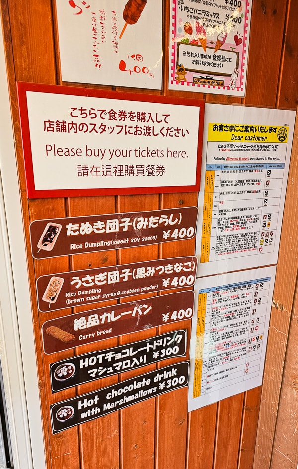 【日本山梨】河口湖 富士山纜車|觀光客必去推薦天上山公園,景色超美還有網美盪鞦韆拍美照 - 第41張圖