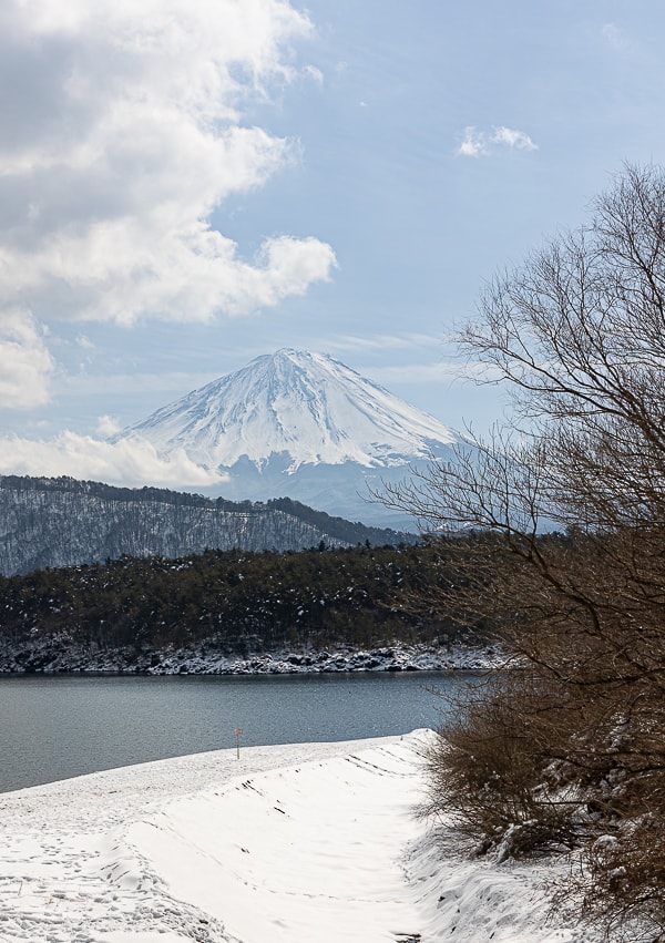 【日本山梨】富士五湖開車自駕旅遊|河口湖、西湖、精進湖、本栖湖,自駕一圈富士山雪景看到飽 - 第21張圖