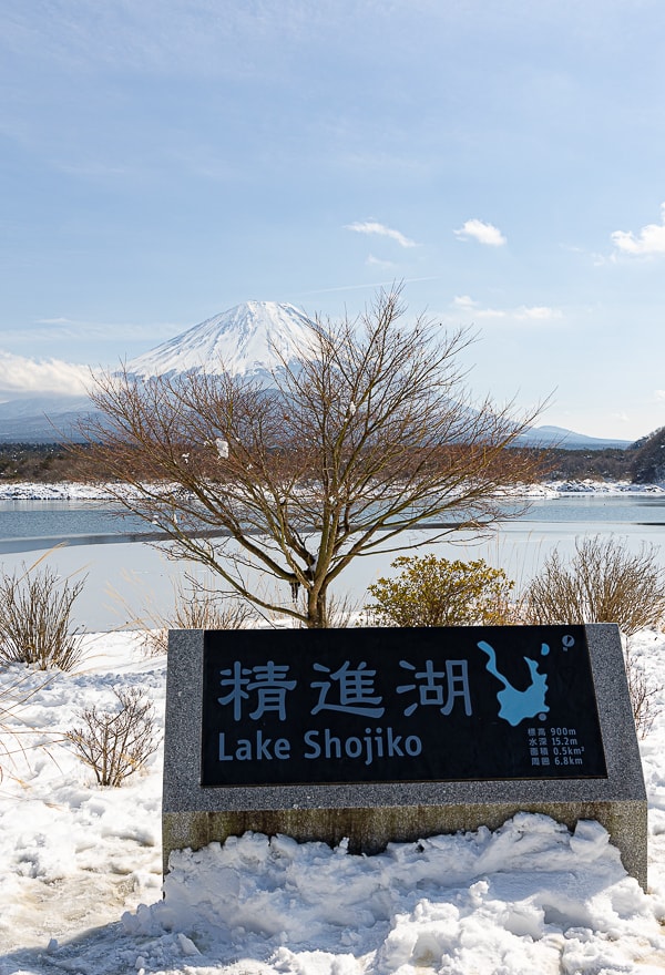 【日本山梨】富士五湖開車自駕旅遊|河口湖、西湖、精進湖、本栖湖,自駕一圈富士山雪景看到飽 - 第22張圖