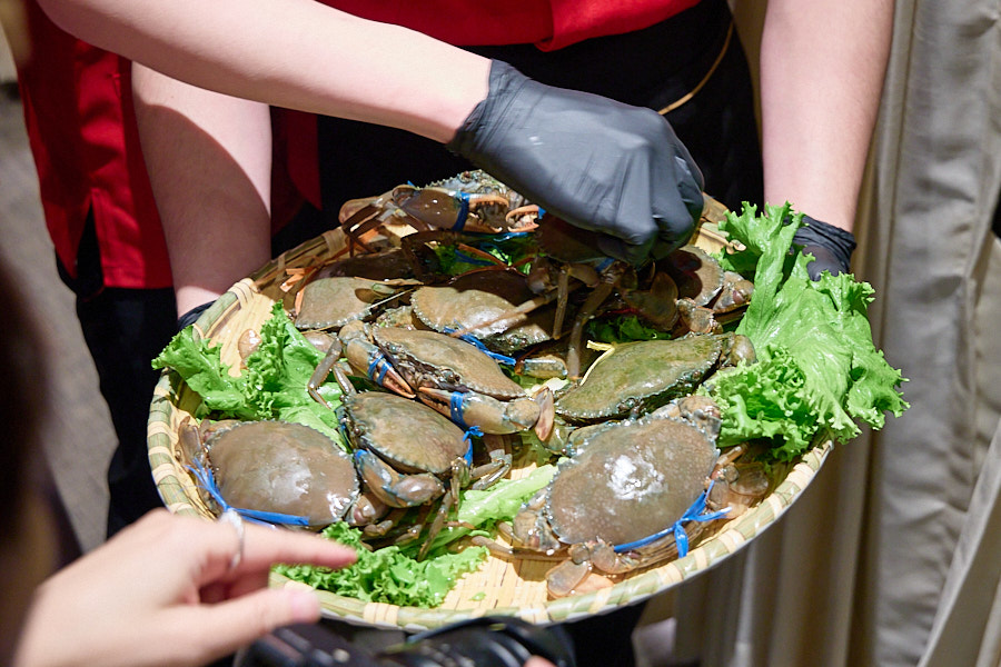 【台北信義】君曜雞湯|新開幕黃金雞湯推薦,限定活動聖誕女郎陪你歡樂用餐,跨年尾牙春酒唱KTV聚餐用餐推薦 - 第26張圖 【台北信義】君曜雞湯|新開幕黃金雞湯推薦,限定活動聖誕女郎陪你歡樂用餐,跨年尾牙春酒唱KTV聚餐用餐推薦