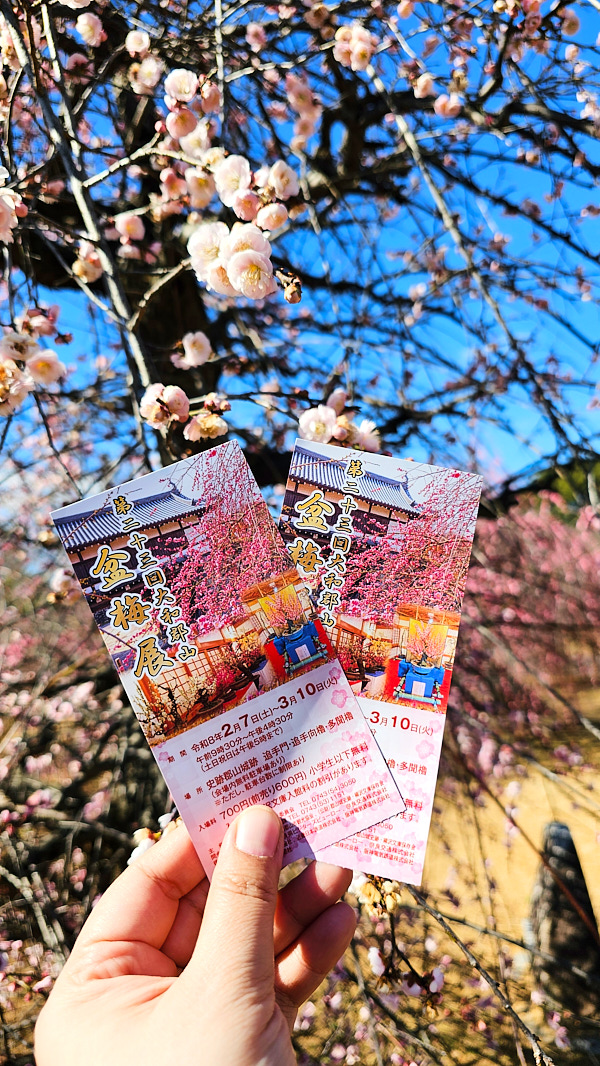 【日本奈良】郡山城(大和郡山城)｜限定盆梅展與梅花林園，天守台展望設施景也非常推薦