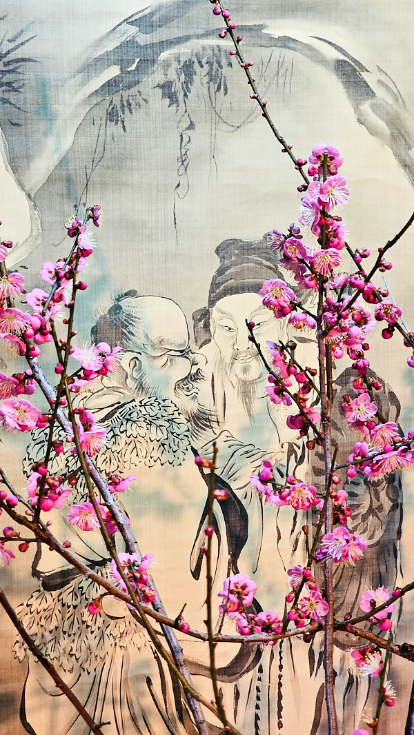 【日本奈良】郡山城(大和郡山城)｜限定盆梅展與梅花林園，天守台展望設施景也非常推薦