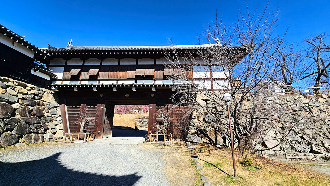 【日本奈良】郡山城(大和郡山城)｜限定盆梅展與梅花林園，天守台展望設施景也非常推薦