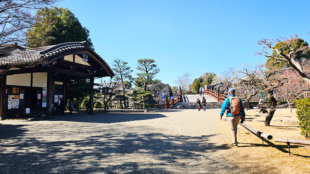 【日本奈良】郡山城(大和郡山城)｜限定盆梅展與梅花林園，天守台展望設施景也非常推薦