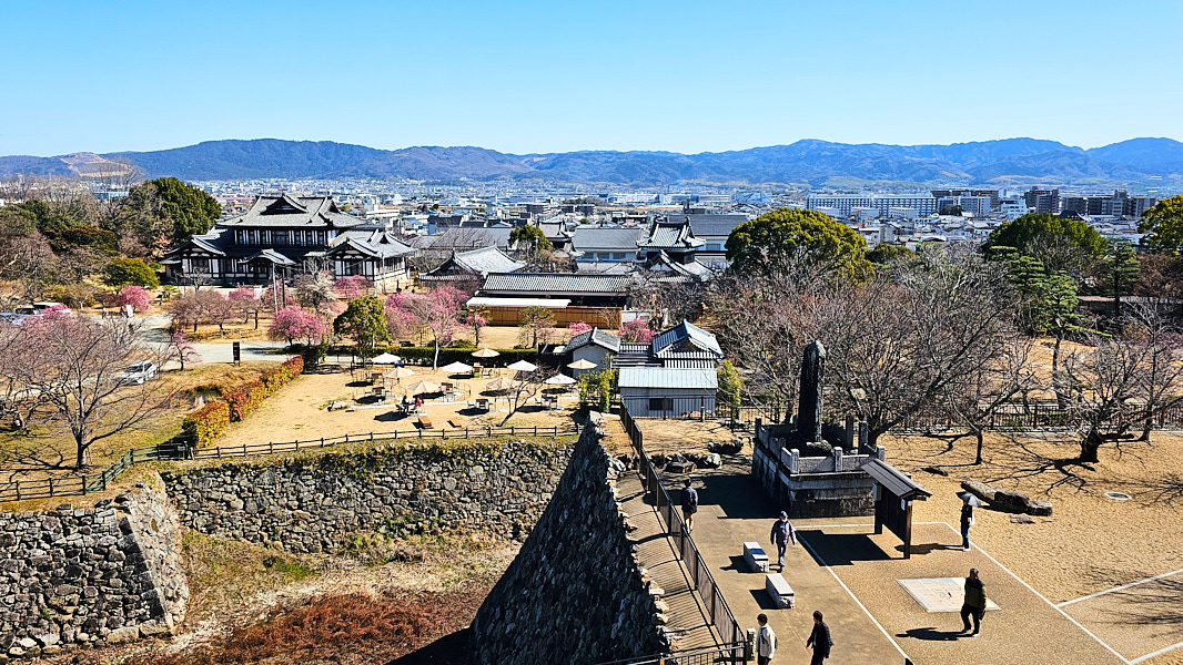 【日本奈良】郡山城(大和郡山城)｜限定盆梅展與梅花林園，天守台展望設施景也非常推薦