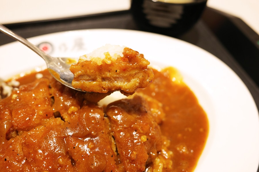 【台中北屯】日乃屋咖哩漢神洲際店｜東京神田冠軍咖哩優勝店，濃稠系帶甜味日式咖哩，脆皮豬排讓人驚喜